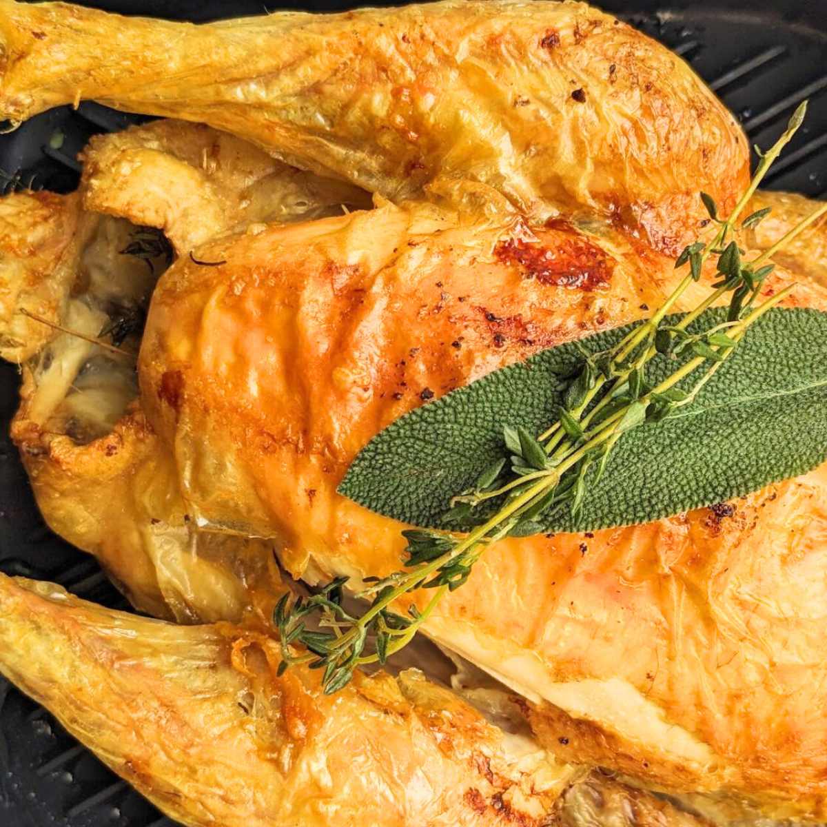 A whole chicken cooked in air fryer basket.